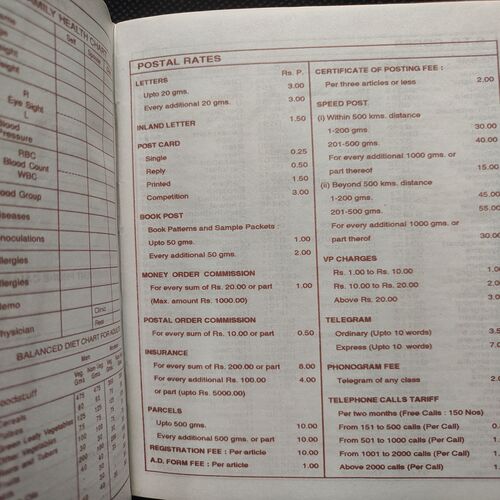 Executive Diary . Year :- ( 1999 ) .