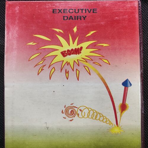 Executive Diary . Year :- ( 1999 ) .