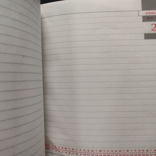 Executive Diary . Year :- ( 1999 ) .