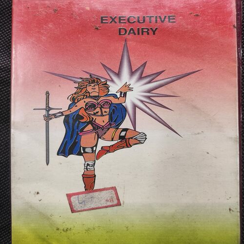 Executive Diary . Year :- ( 1999 ) .