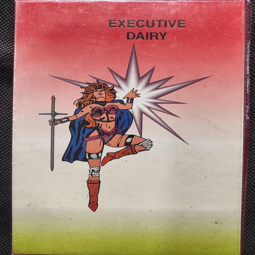 Executive Diary . Year :- ( 1999 ) .
