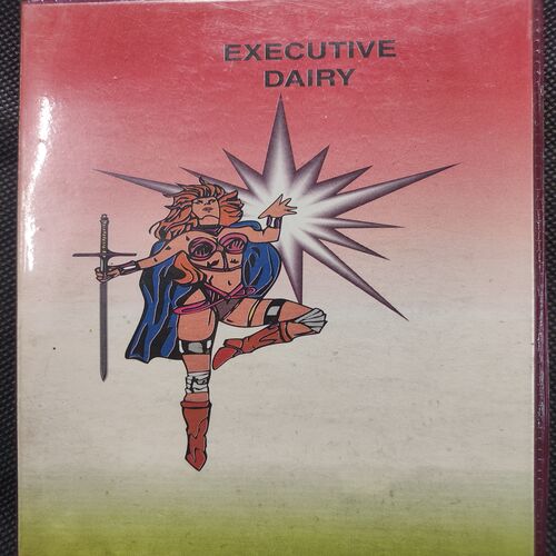 Executive Diary . Year :- ( 1999 ) .