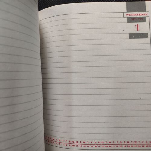 Executive Diary . Year :- ( 1999 ) .