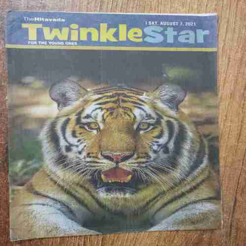 Twinkle Star (August 7 , 2021)