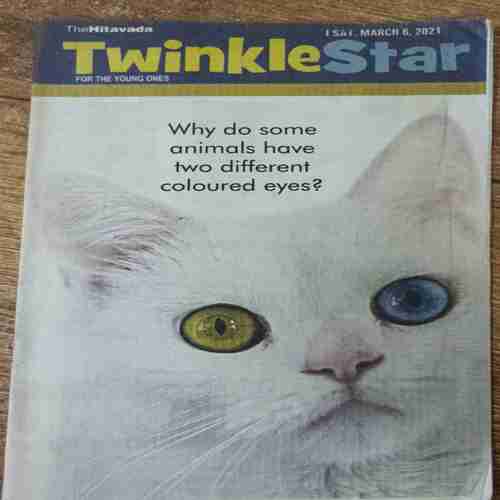 Twinkle Star ( March 6 , 2021)