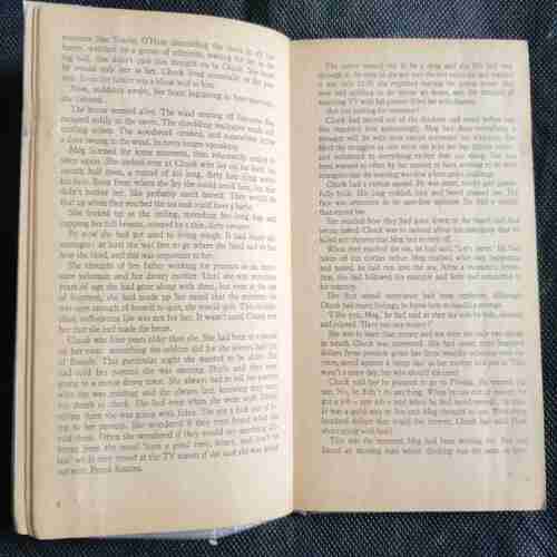 JAMES HADLEY (WHAT TO STAY ALIVE)