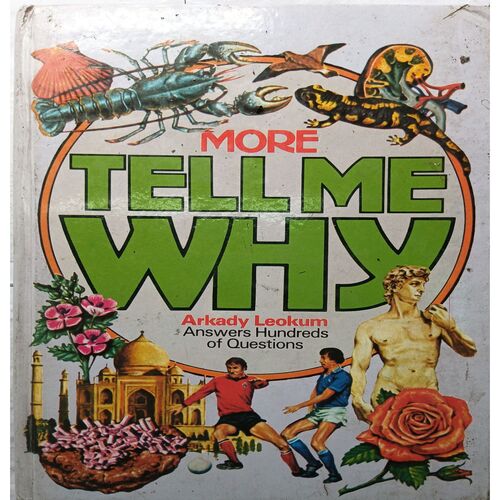 More Tell Me Why ( Arkady Leokum )