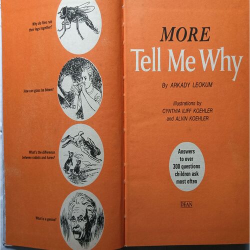 More Tell Me Why ( Arkady Leokum )