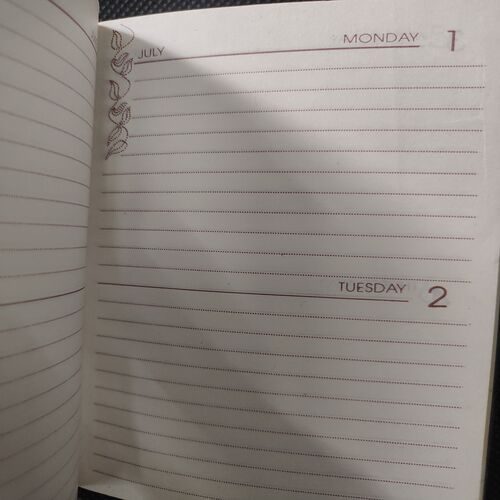 Old Pocket Diary . Year :- ( 1996 ) .