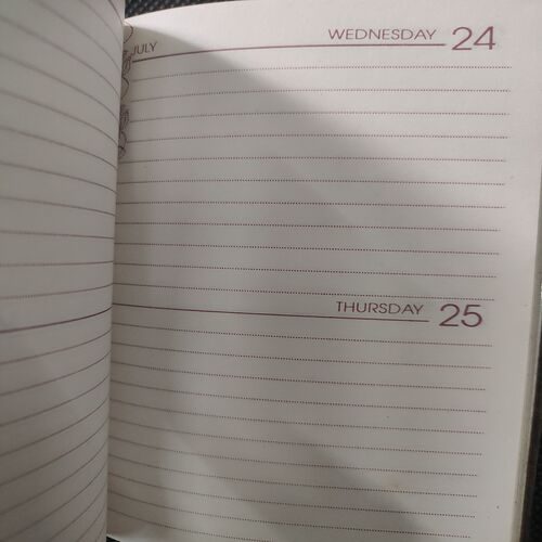 Old Pocket Diary . Year :- ( 1996 ) .