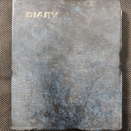 Old Pocket Diary . Year :- ( 1996 ) .