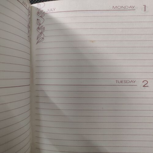 Old Pocket Diary . Year :- ( 1996 ) .