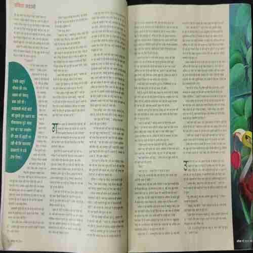 Vanita (May 2019) Frount cover uper side half cut…