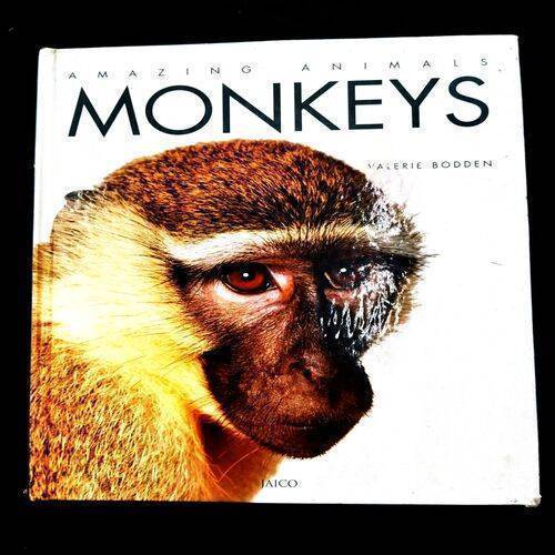 Amazing Animals - Monkeys .