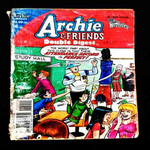 Archie & Friends ( Double Digest No. 20 )