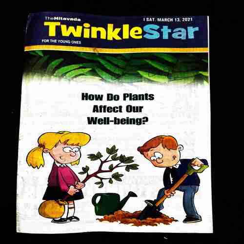 TwinkleStar ( 13 March 2021 ) .