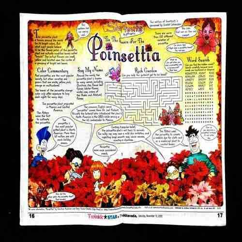 TwinkleStar ( 12 November 2022 ) .
