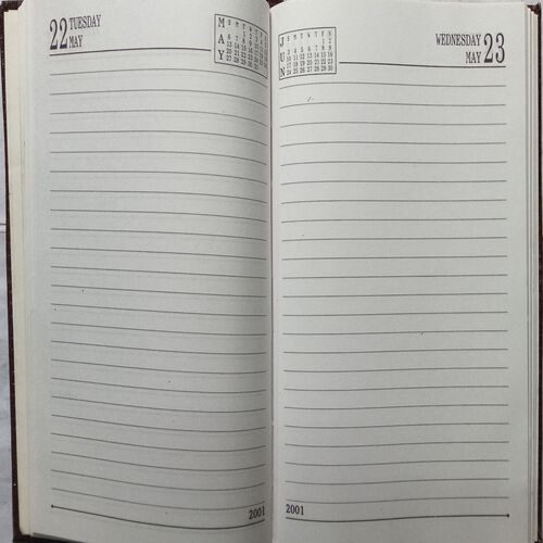 Diary ( 2001 )