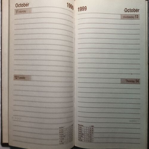 Executive Diary ( 1999 )