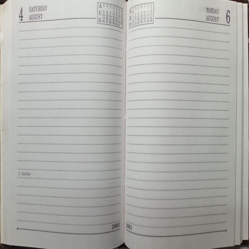 Diary ( 2001 )