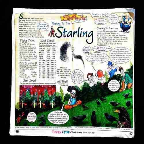 TwinkleStar ( 15 July 2023 ) .