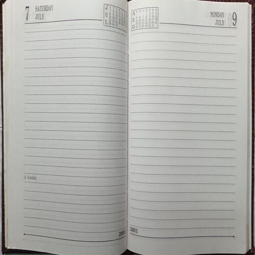 Diary ( 2001 )