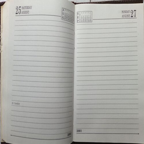Diary ( 2001 )