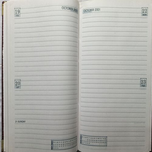 Diary ( 2001 )