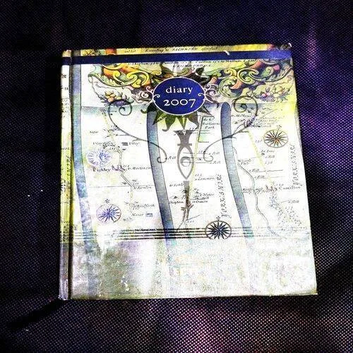 Diary ( 2007 ) .