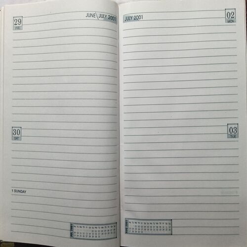 Diary ( 2001 )