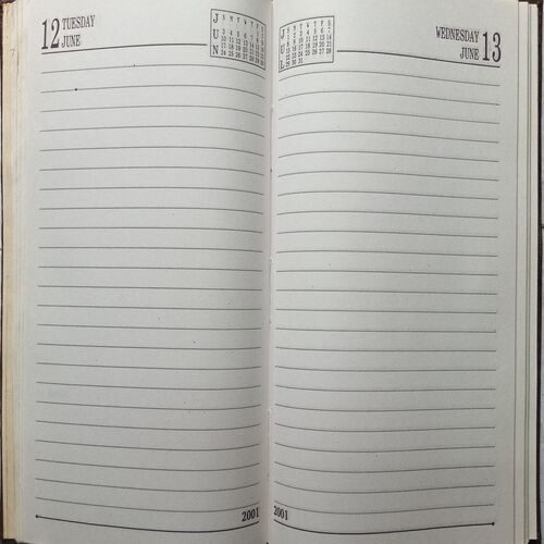 Diary ( 2001 )