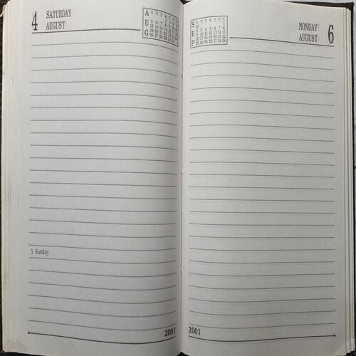 Diary ( 2001 )