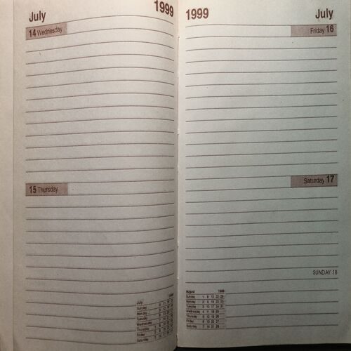 Executive Diary ( 1999 )