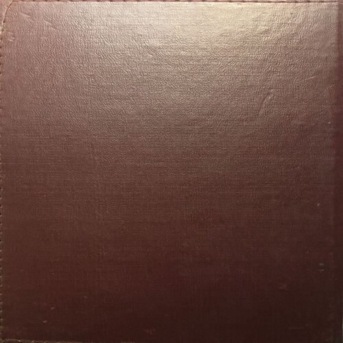 Executive Diary ( 1999 )