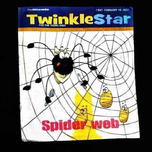 TwinkleStar ( 19 February 2022 ) .