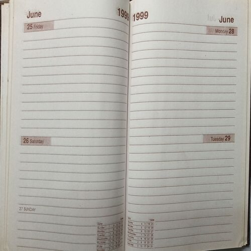Executive Diary ( 1999 )
