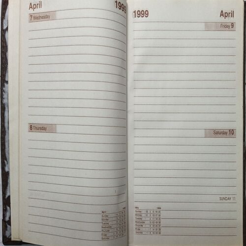 Executive Diary ( 1999 )