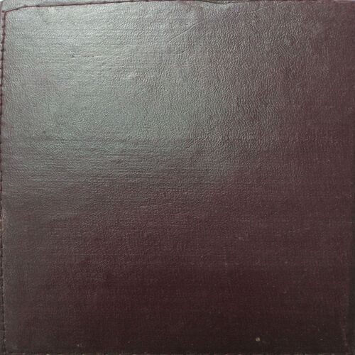 Executive Diary ( 1999 )