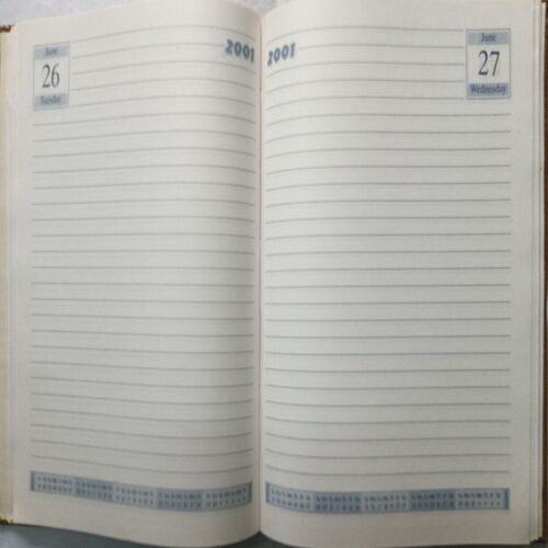 Diary ( 2001 )