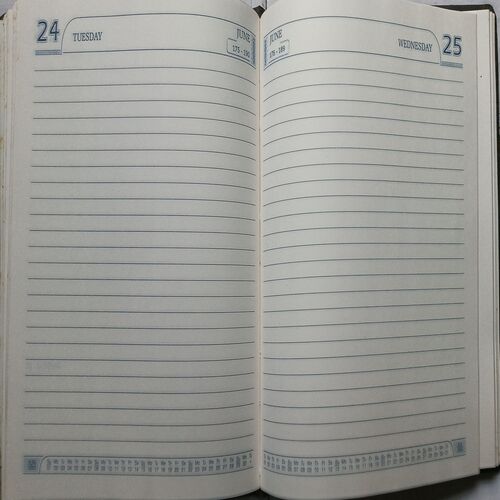 Diary ( 2003 )