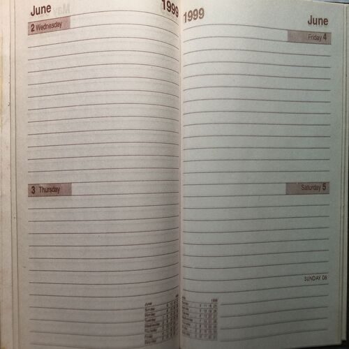 Executive Diary ( 1999 )