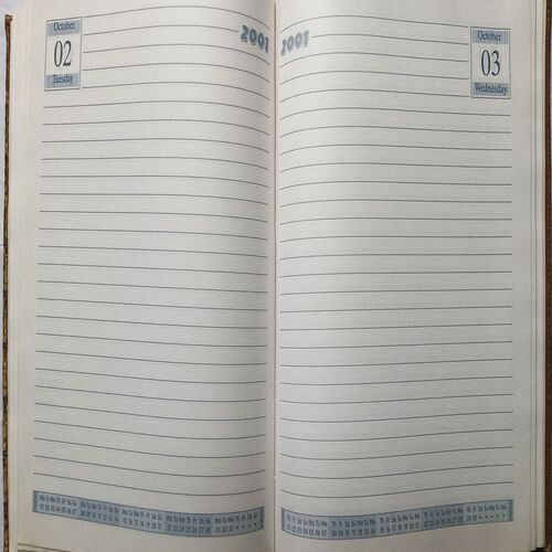 Diary ( 2001 )