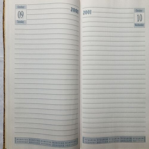 Diary ( 2001 )