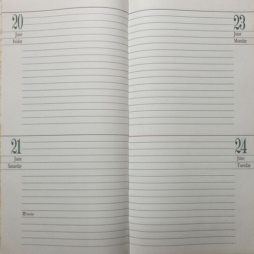 Executive Diary ( 1998 )