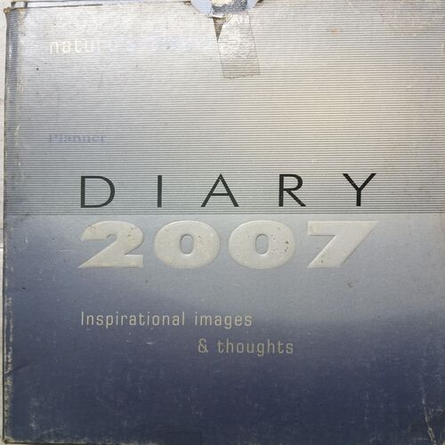 Diary ( 2007 )