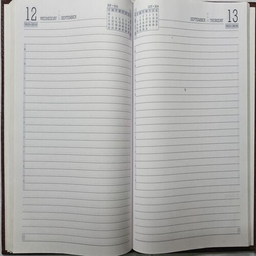 Executive Diary  ( 2018 )