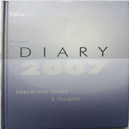 Diary ( 2007 )