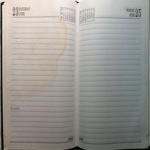Diary ( 2001 )