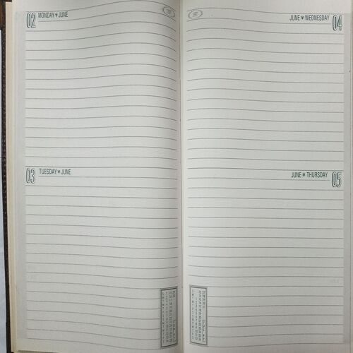 Executive Diary ( 1997 )