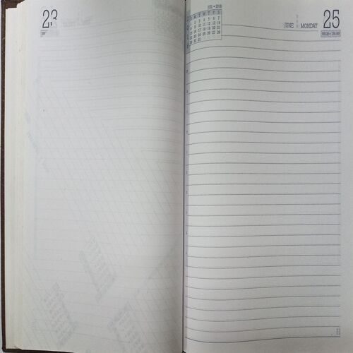 Executive Diary (2018)